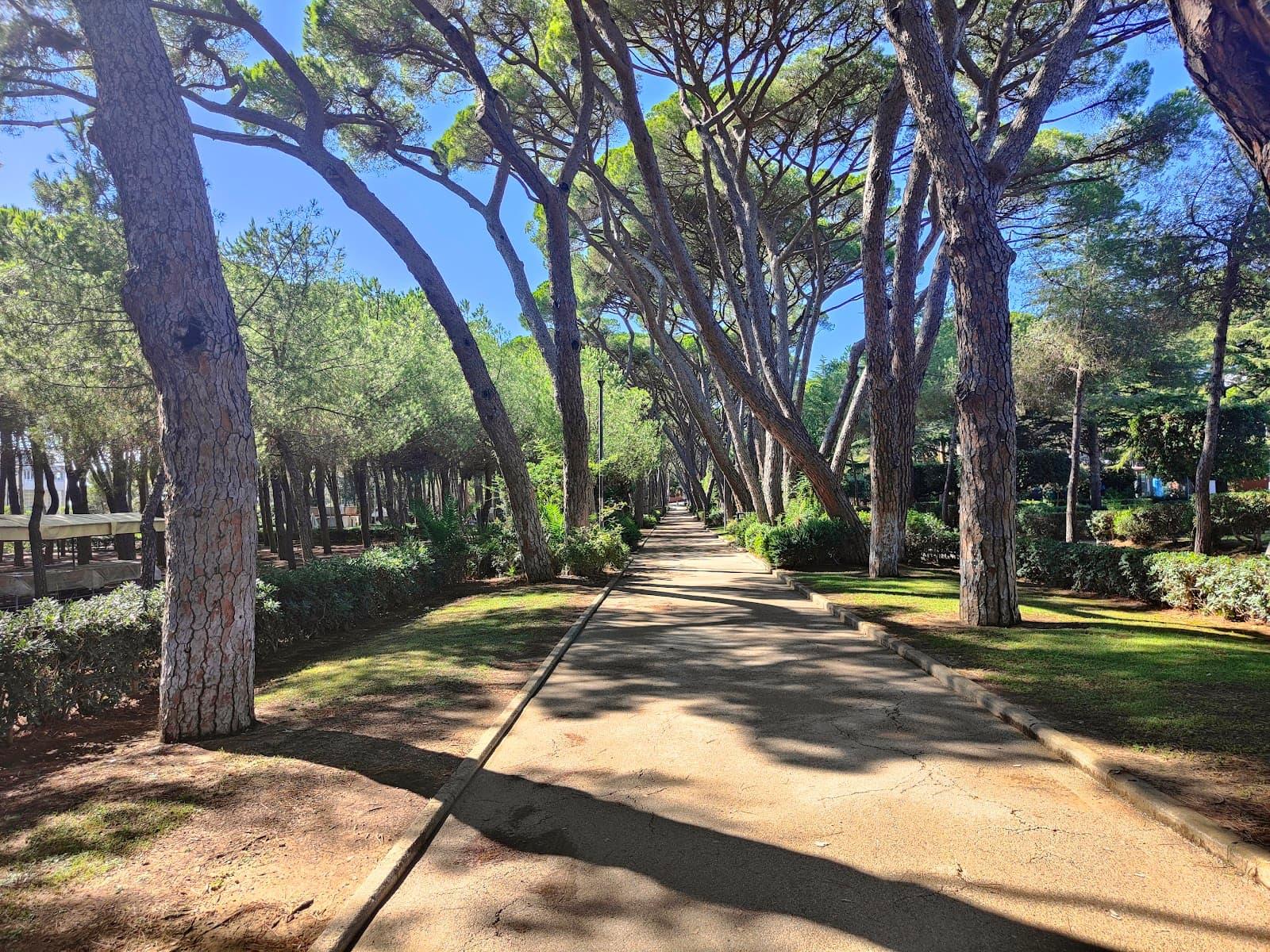 Pineta Marradi a Castiglioncello